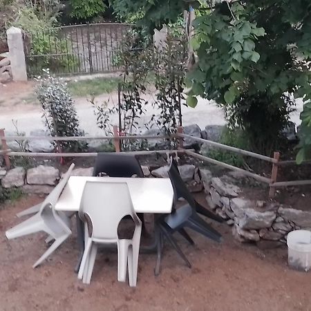 Maison De Caractere Au Coeur De La Corse Rurale Calacuccia Eksteriør bilde